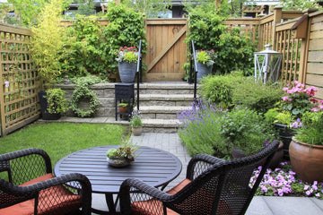 5 Summer Garden Essentials for a Thriving Outdoor Space